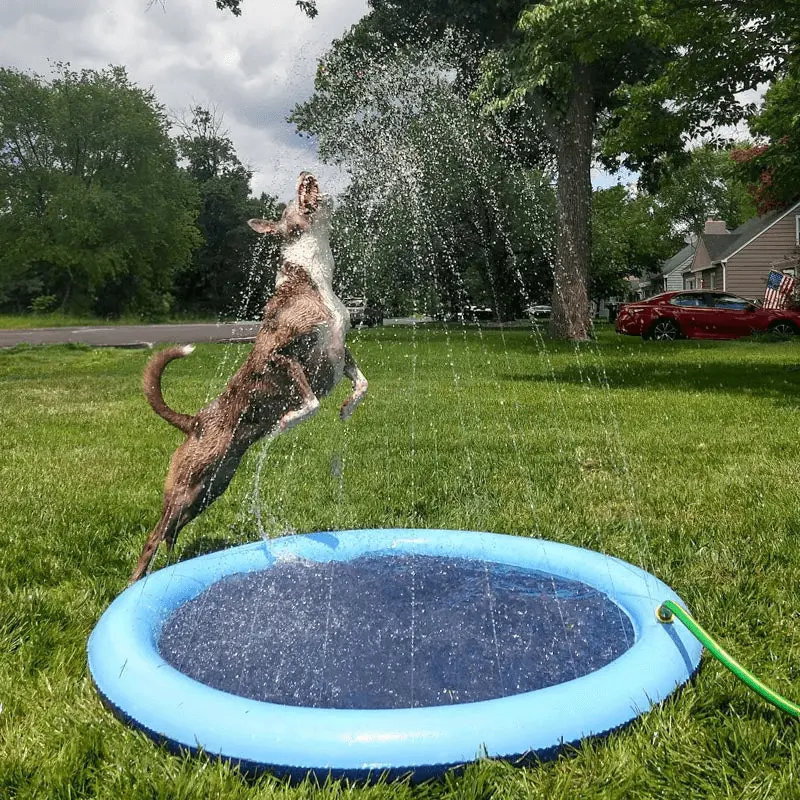 🔥Last Day Sale 50% OFF🐾Portable Pet Wading Pool