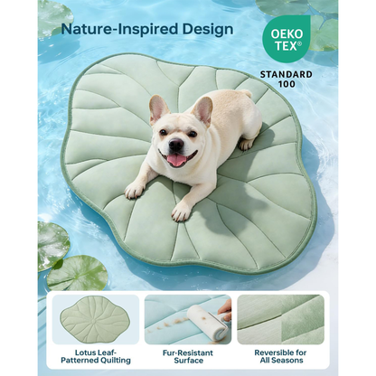 🔥Last Day Sale 50%🐶Reversible Lotus Leaf Shape Pet Cooling Mat