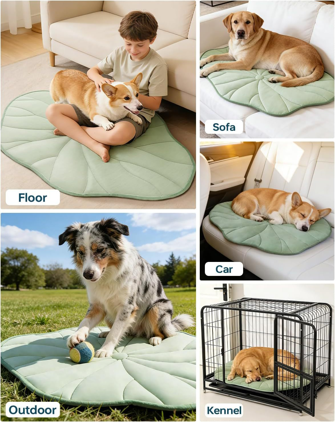 🔥Last Day Sale 50%🐶Reversible Lotus Leaf Shape Pet Cooling Mat