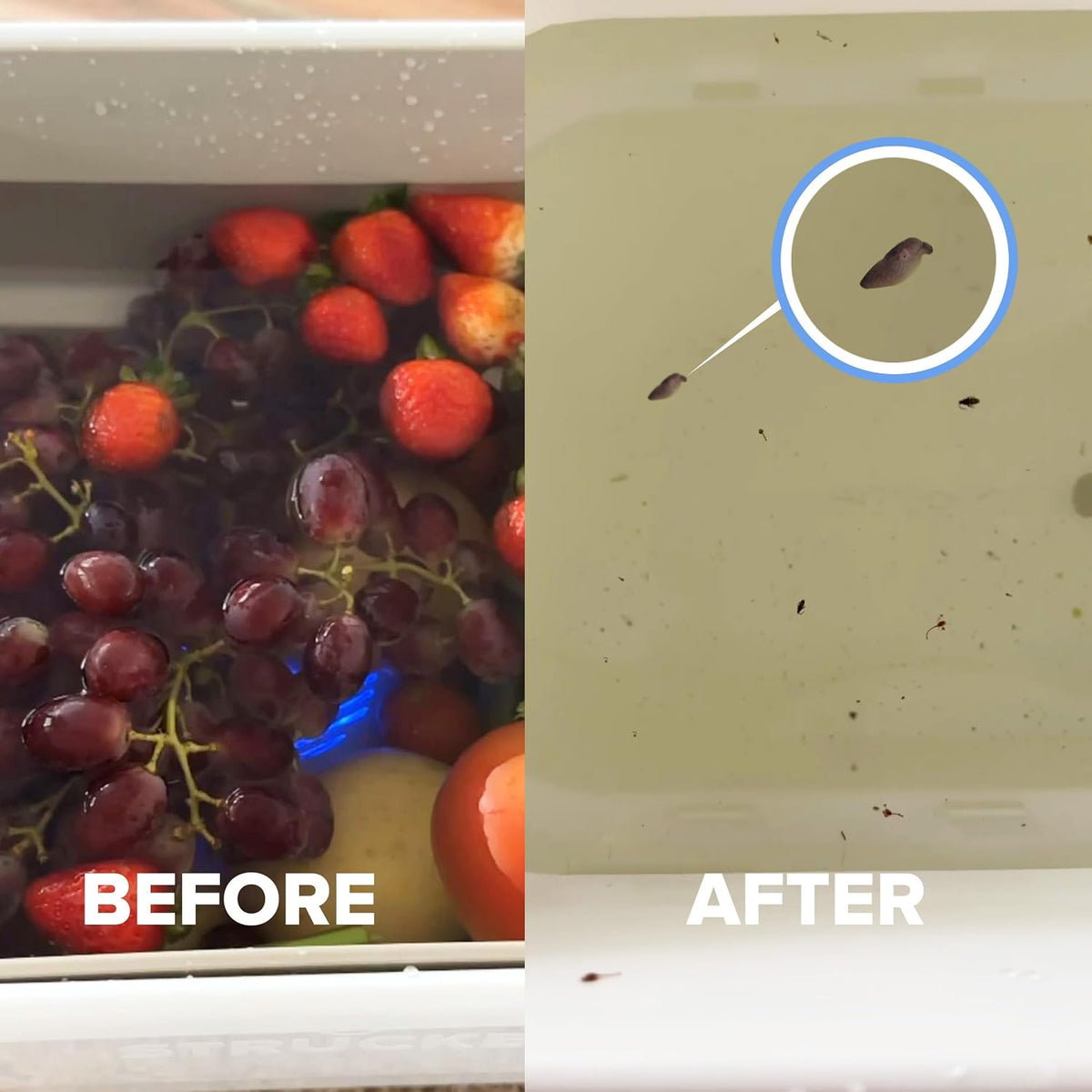 🔥Last Day Sale 50% OFF🍏Meet The World's Smartest Food Cleaner-Portable Fruit And Vegetable Sterilizer