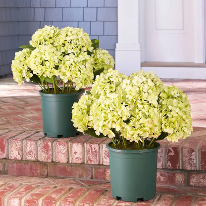🔥Last Day Sale 50% OFF💐Artificial Outdoor Hydrangea Flowers - UV resistant, Waterproof, Windproof