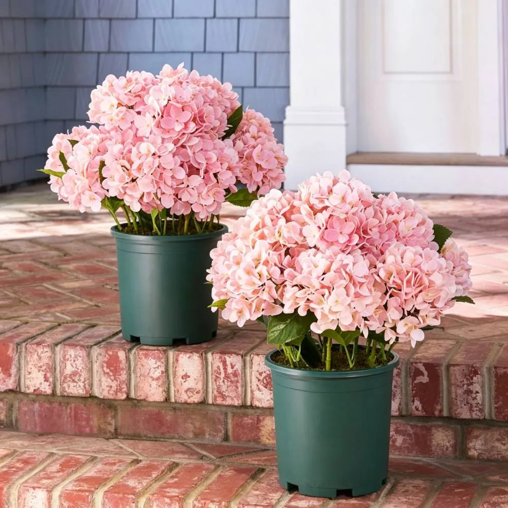 🔥Last Day Sale 50% OFF💐Artificial Outdoor Hydrangea Flowers - UV resistant, Waterproof, Windproof