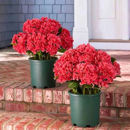 🔥Last Day Sale 50% OFF💐Artificial Outdoor Hydrangea Flowers - UV resistant, Waterproof, Windproof