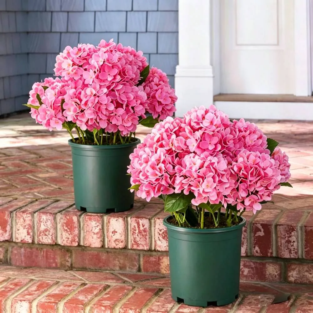 🔥Last Day Sale 50% OFF💐Artificial Outdoor Hydrangea Flowers - UV resistant, Waterproof, Windproof