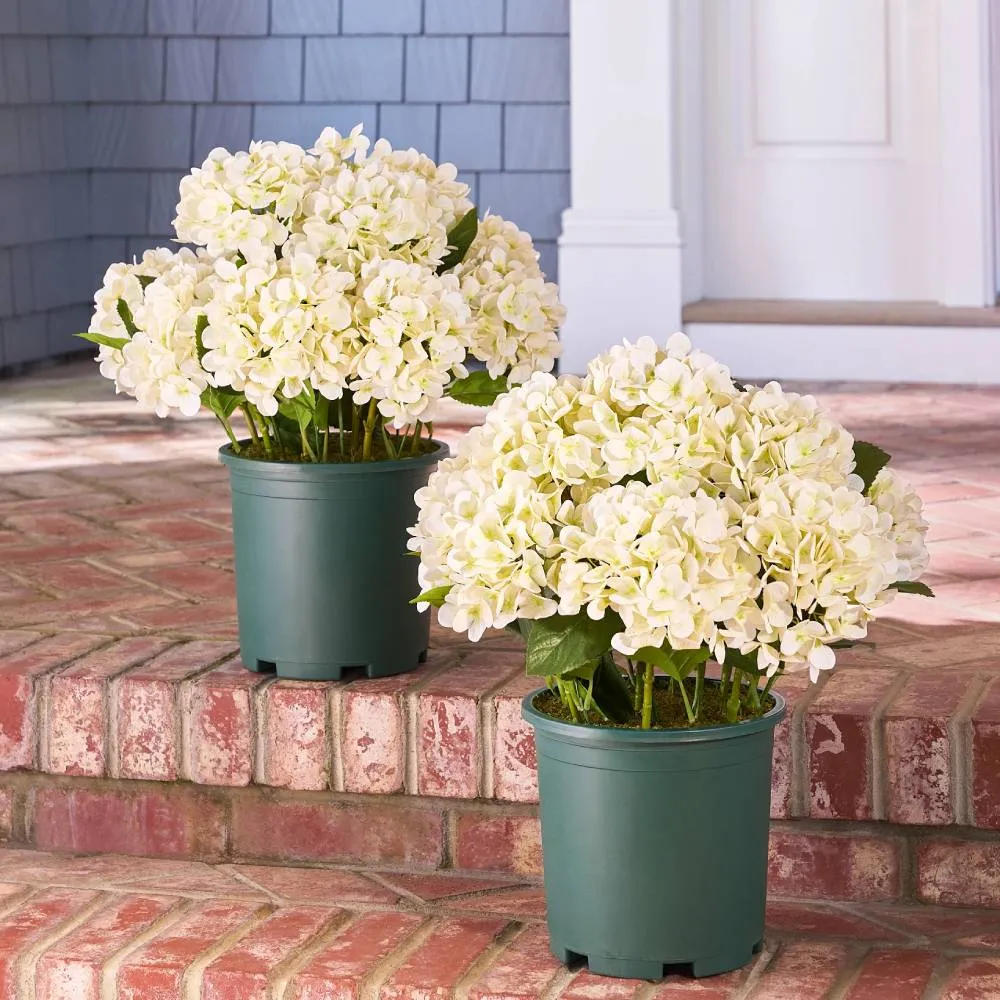 🔥Last Day Sale 50% OFF💐Artificial Outdoor Hydrangea Flowers - UV resistant, Waterproof, Windproof