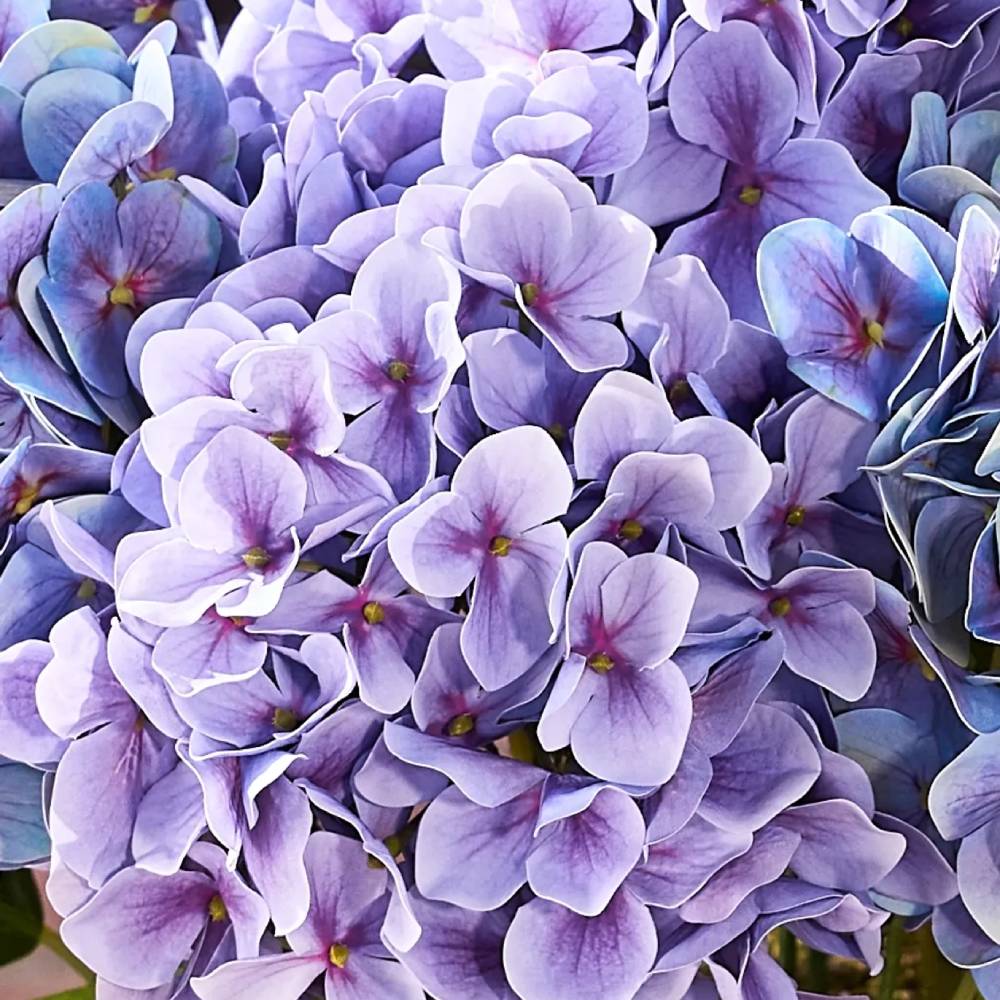 🔥Last Day Sale 50% OFF💐Artificial Outdoor Hydrangea Flowers - UV resistant, Waterproof, Windproof