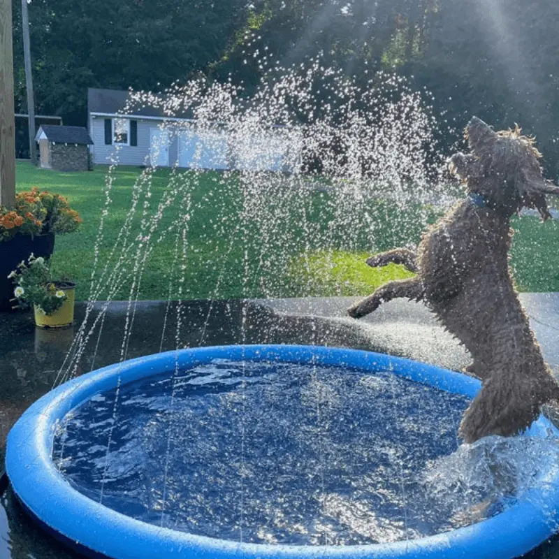 🔥Last Day Sale 50% OFF🐾Portable Pet Wading Pool