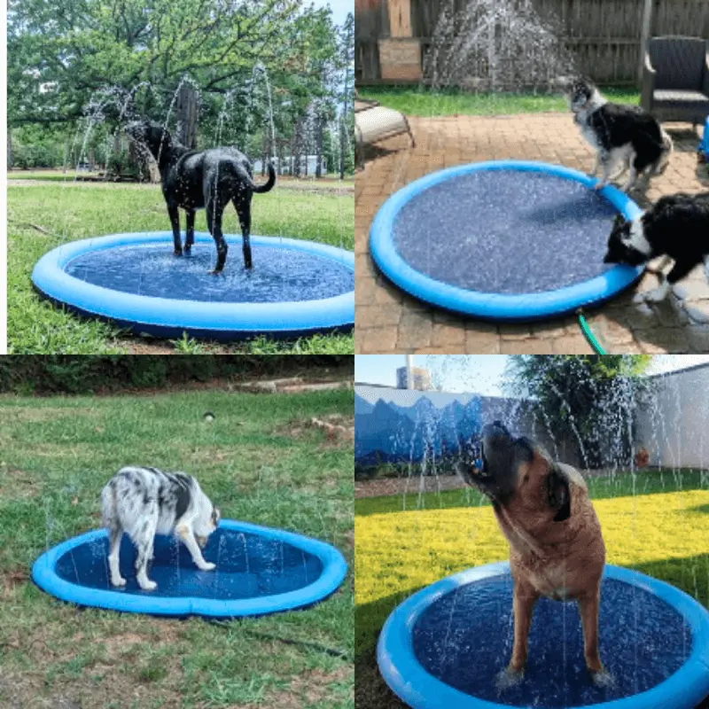 🔥Last Day Sale 50% OFF🐾Portable Pet Wading Pool