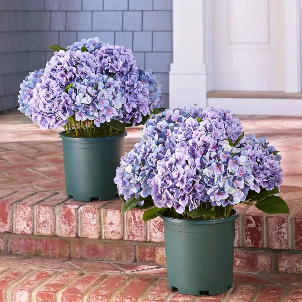 🔥Last Day Sale 50% OFF💐Artificial Outdoor Hydrangea Flowers - UV resistant, Waterproof, Windproof